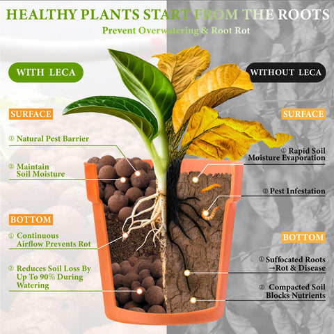 BIOMAND LECA for hydroponics maintains a stable root environment.