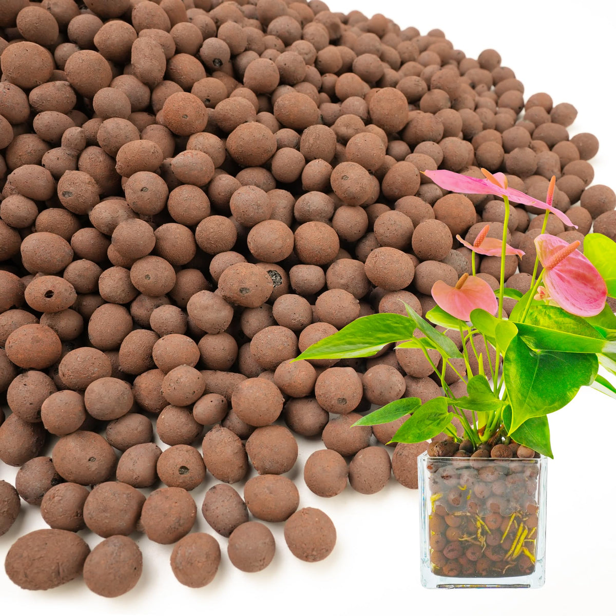BIOMAND LECA pebbles 12qt pack shot — natural, pre-washed balls ready for reuse.