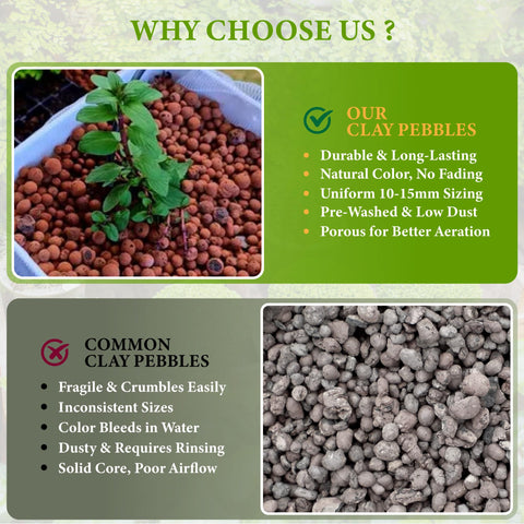 BIOMAND LECA pebbles splash-free top dressing.