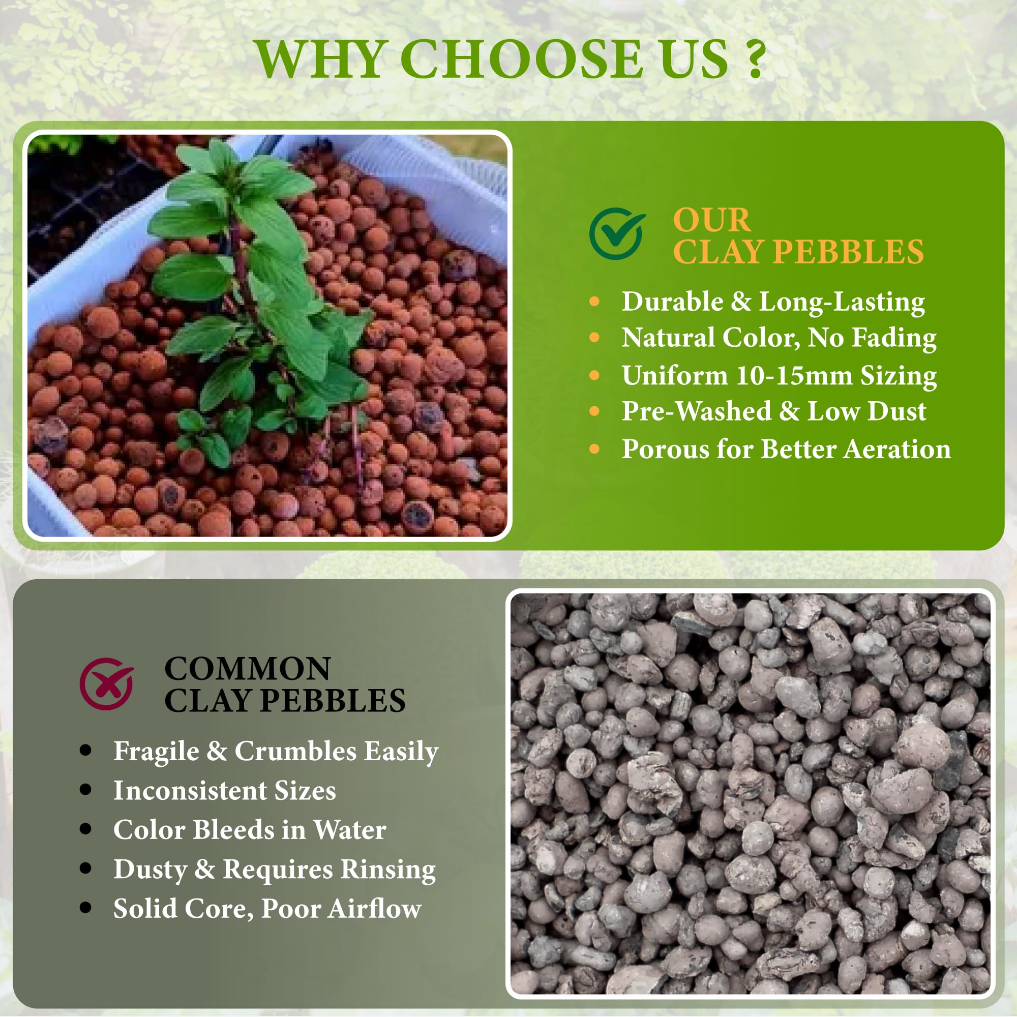BIOMAND LECA adds decorative, fade-resistant texture to terrariums.