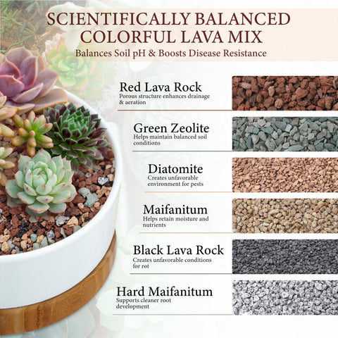 BIOMAND lava rocks supply natural minerals to balance pH in soil.