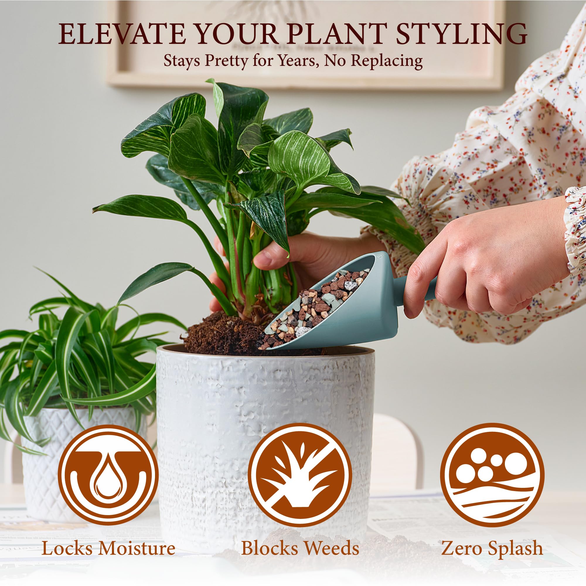 BIOMAND rocks suit succulents, orchids, cacti, and bonsai aesthetics.