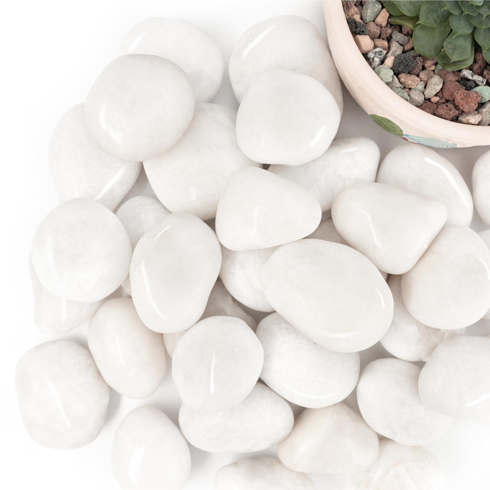 BIOMAND weed-blocking rocks help maintain tidy plant beds.