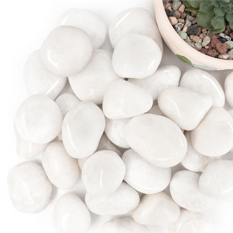 BIOMAND weed-blocking rocks help maintain tidy plant beds.