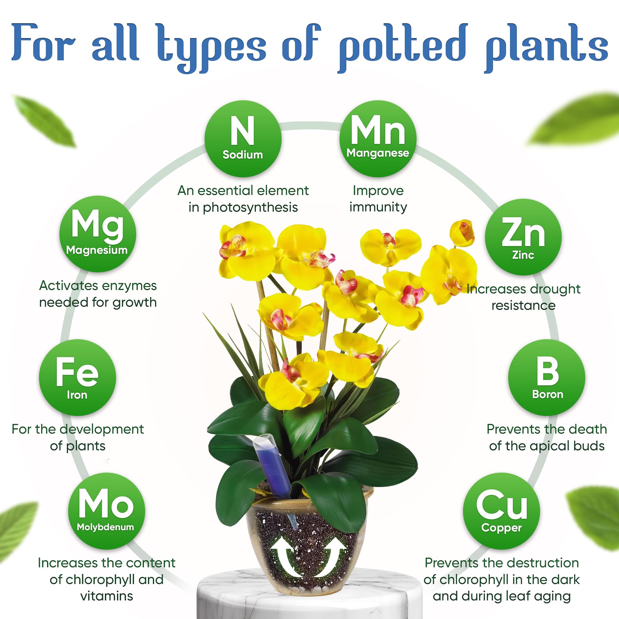 BIOPLENAFEED blossoms flourish with enhanced color and longer bloom