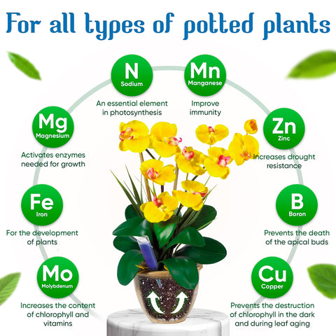 BIOPLENAFEED blossoms flourish with enhanced color and longer bloom