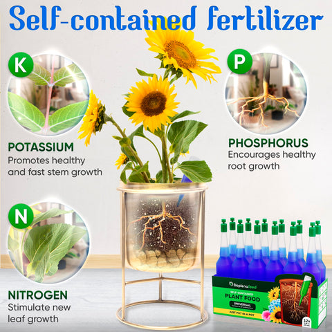 BIOPLENAFEED indoor houseplants closeup promotes healthy growth