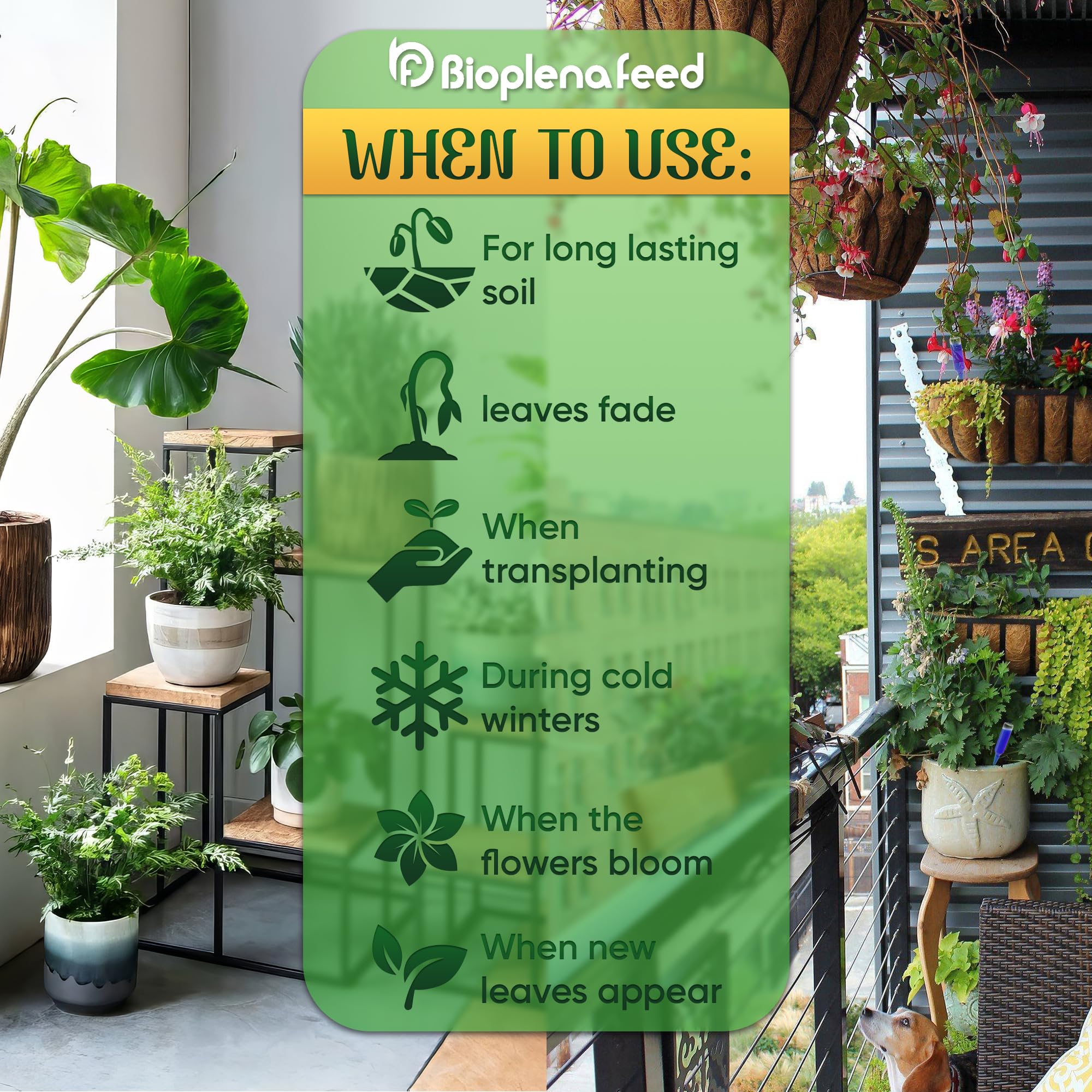 BIOPLENAFEED bloom-supporting feeding for outdoor garden flowers