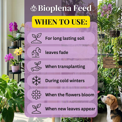 BIOPLENAFEED strong roots and healthy growth in potted plants