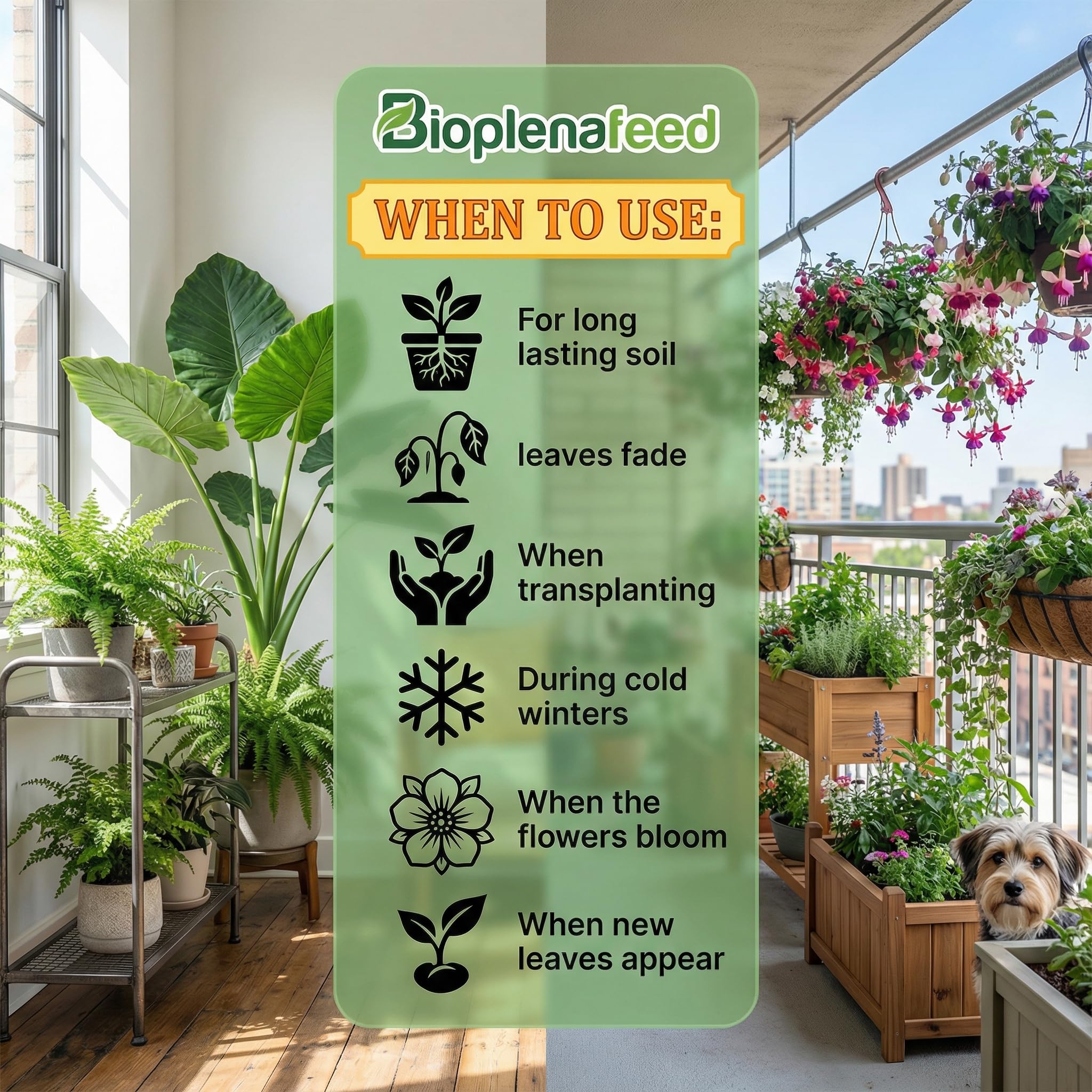 BIOPLENAFEED outdoor garden thriving with lush blooms and color