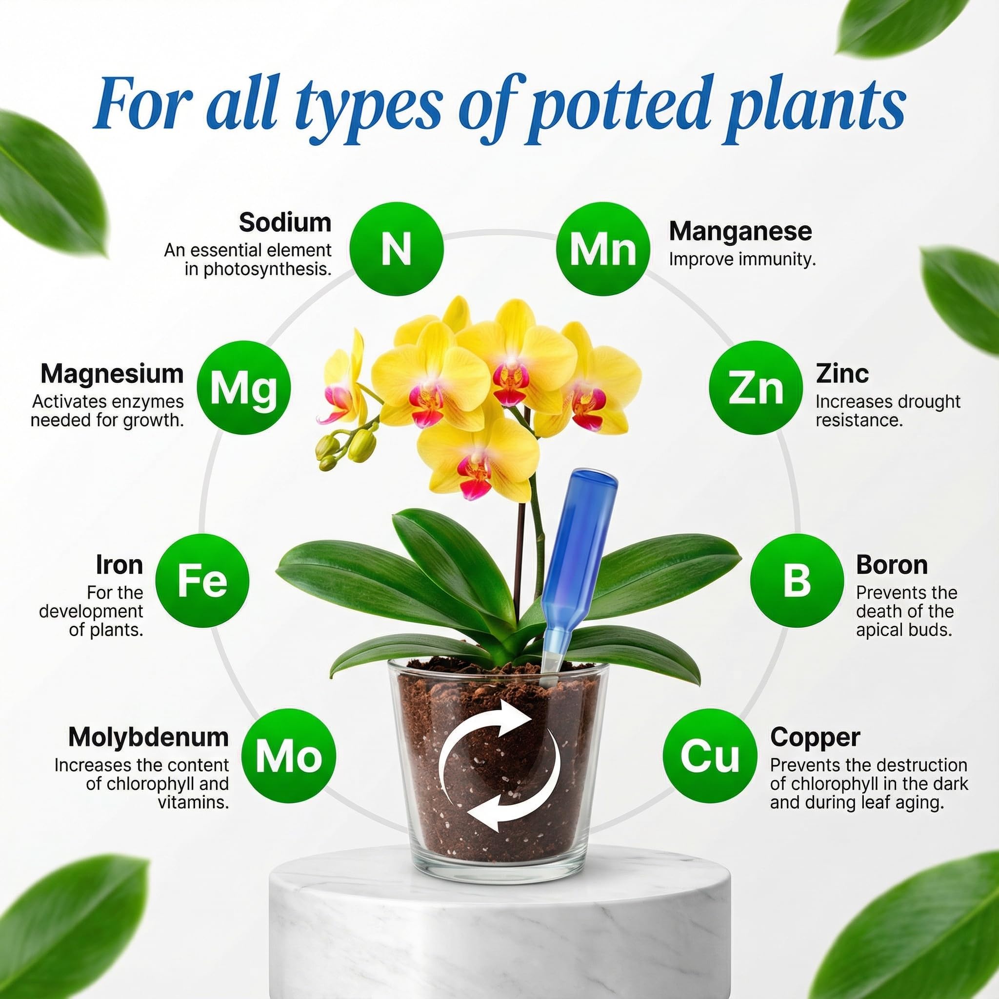 BIOPLENAFEED root stimulant promoting healthy roots and strong transplanting