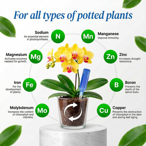 BIOPLENAFEED root stimulant promoting healthy roots and strong transplanting