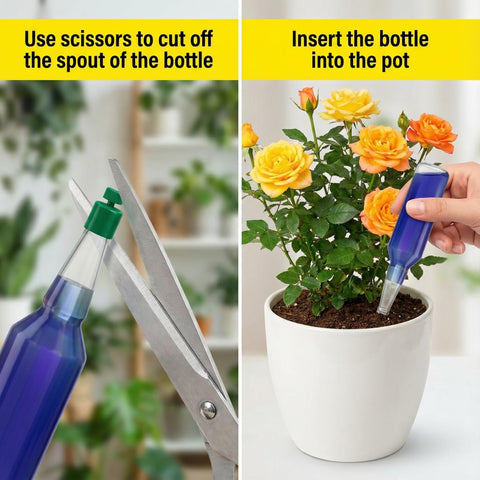 BIOPLENAFEED six-pack packaging ready for household plant care