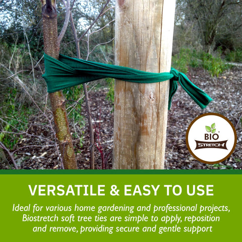 Biostretch eco-friendly garden tie for large plants and trees.