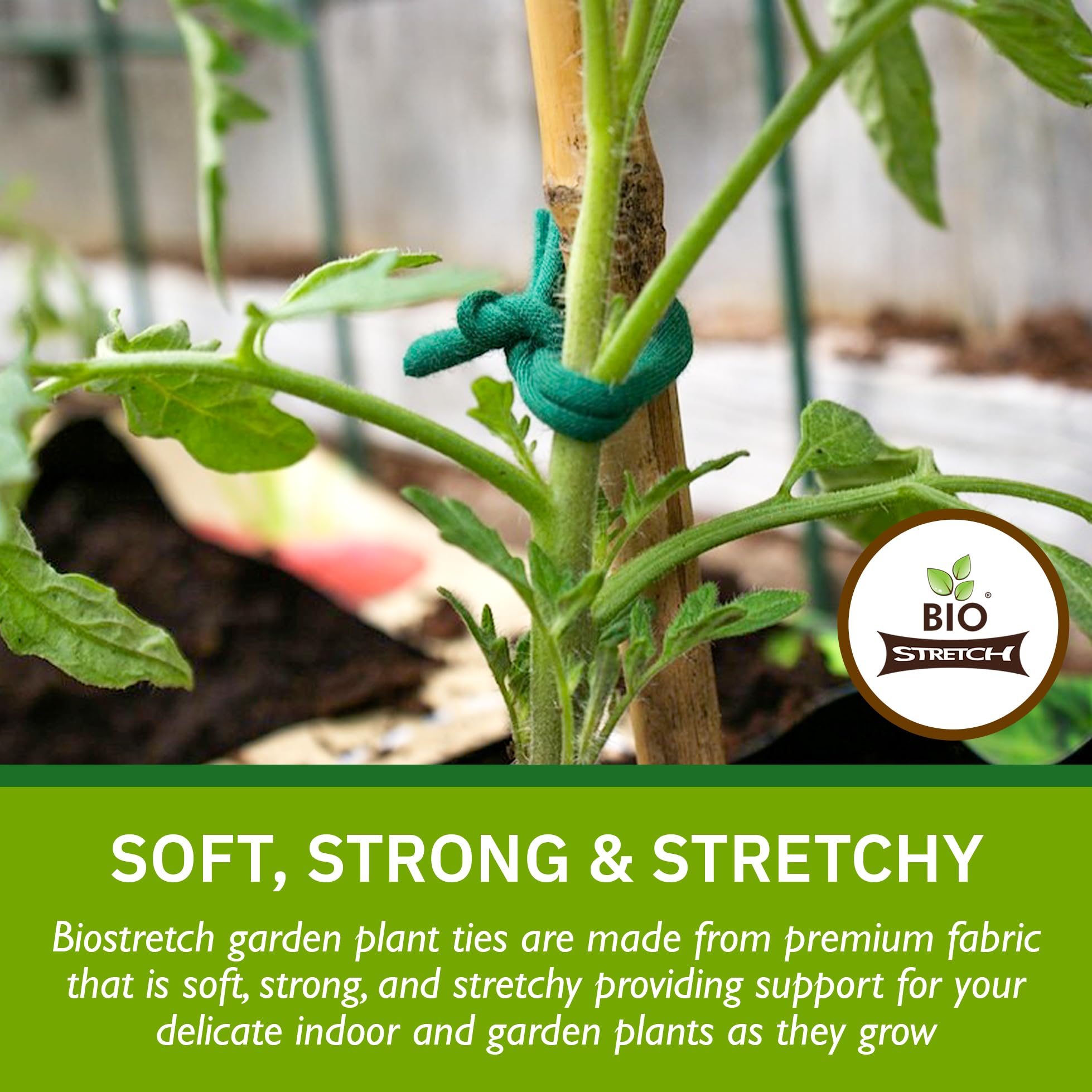 Biostretch green garden ties support climbing plants without damage