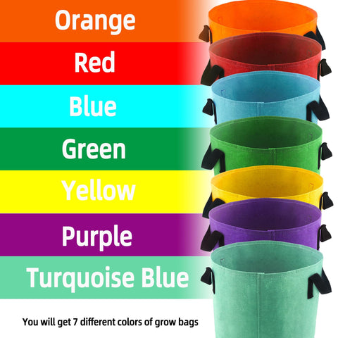 Biotolot colorful garden setup using 10-Gallon grow bags for tidy planting.