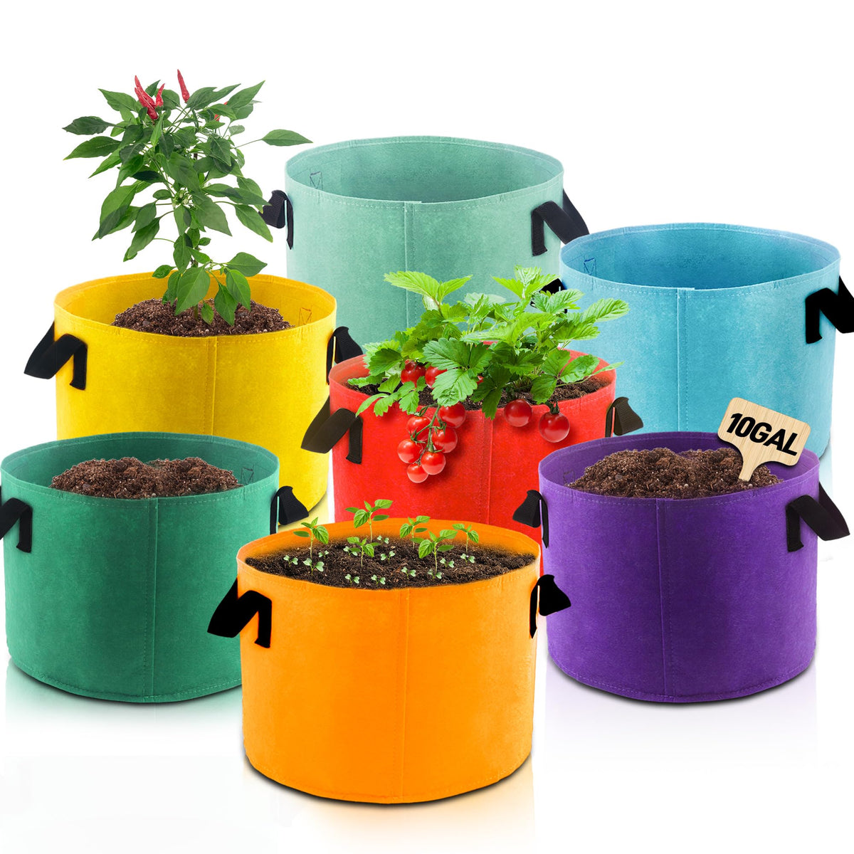 Biotolot 10-Gallon grow bags in seven colors for a vibrant container garden.