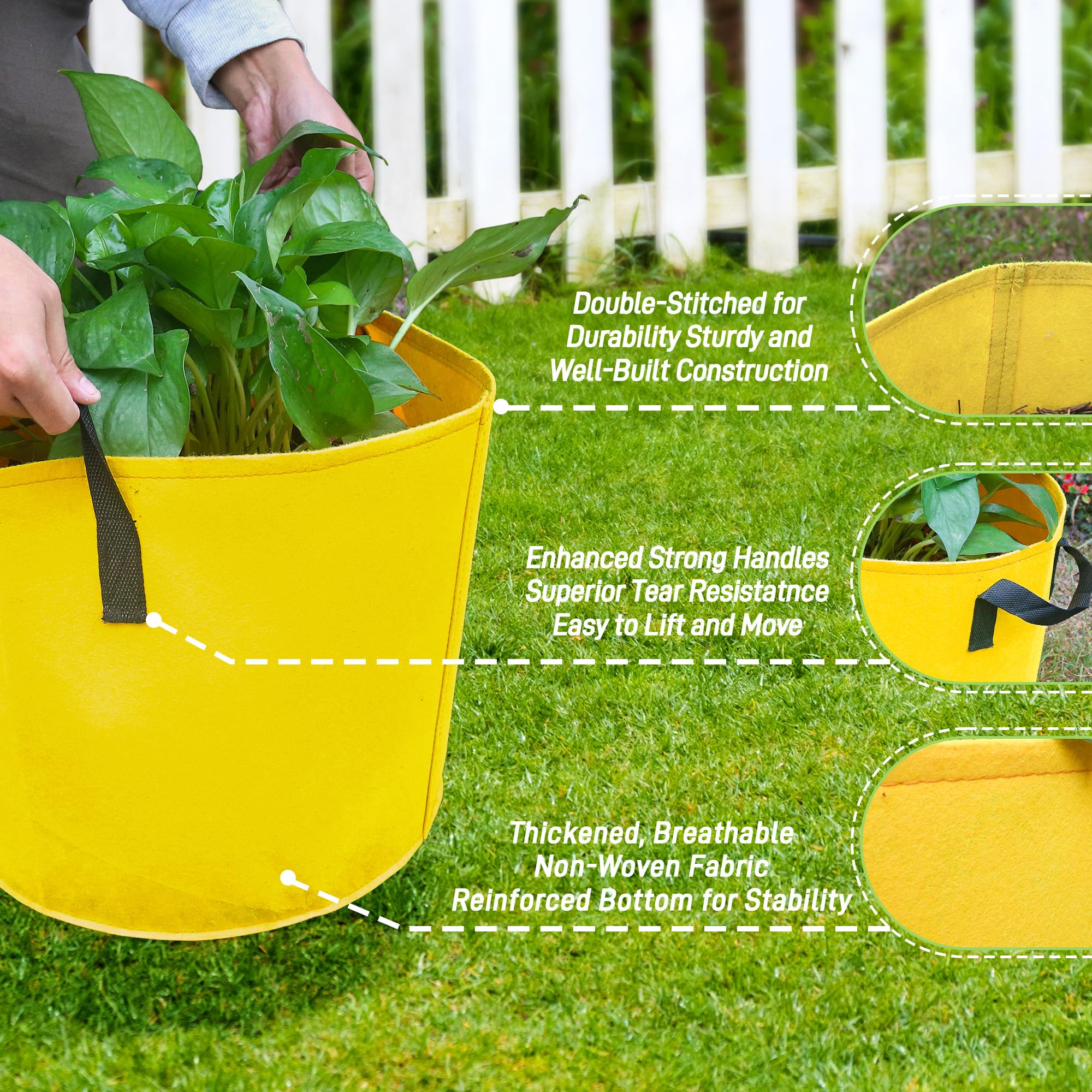 Biotolot 10-Gallon grow bags with sturdy handles for easy relocation.