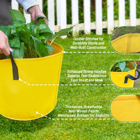 Biotolot 10-Gallon grow bags with sturdy handles for easy relocation.