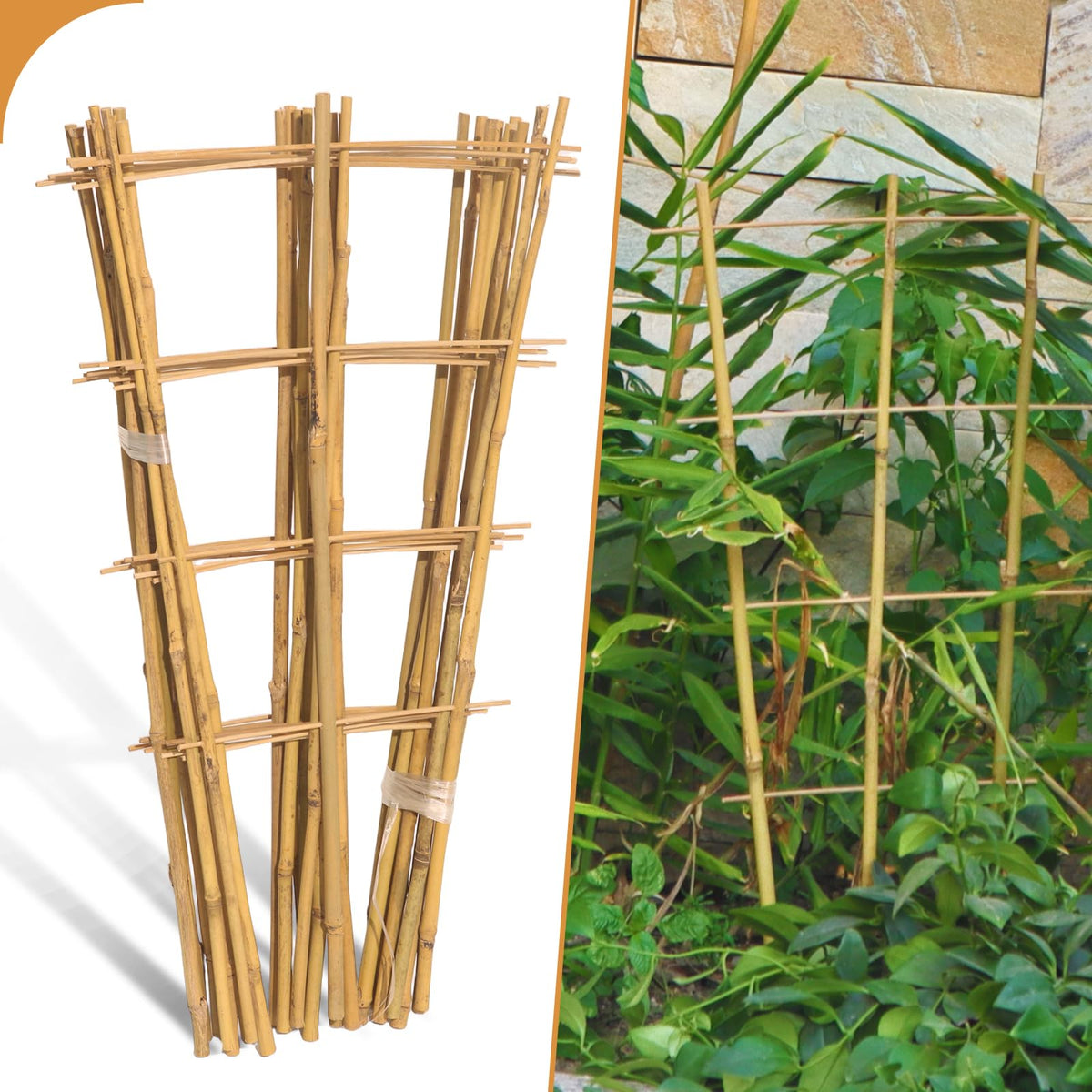 Biotolot bamboo trellis 2ft ladder supports climbing plants in pots