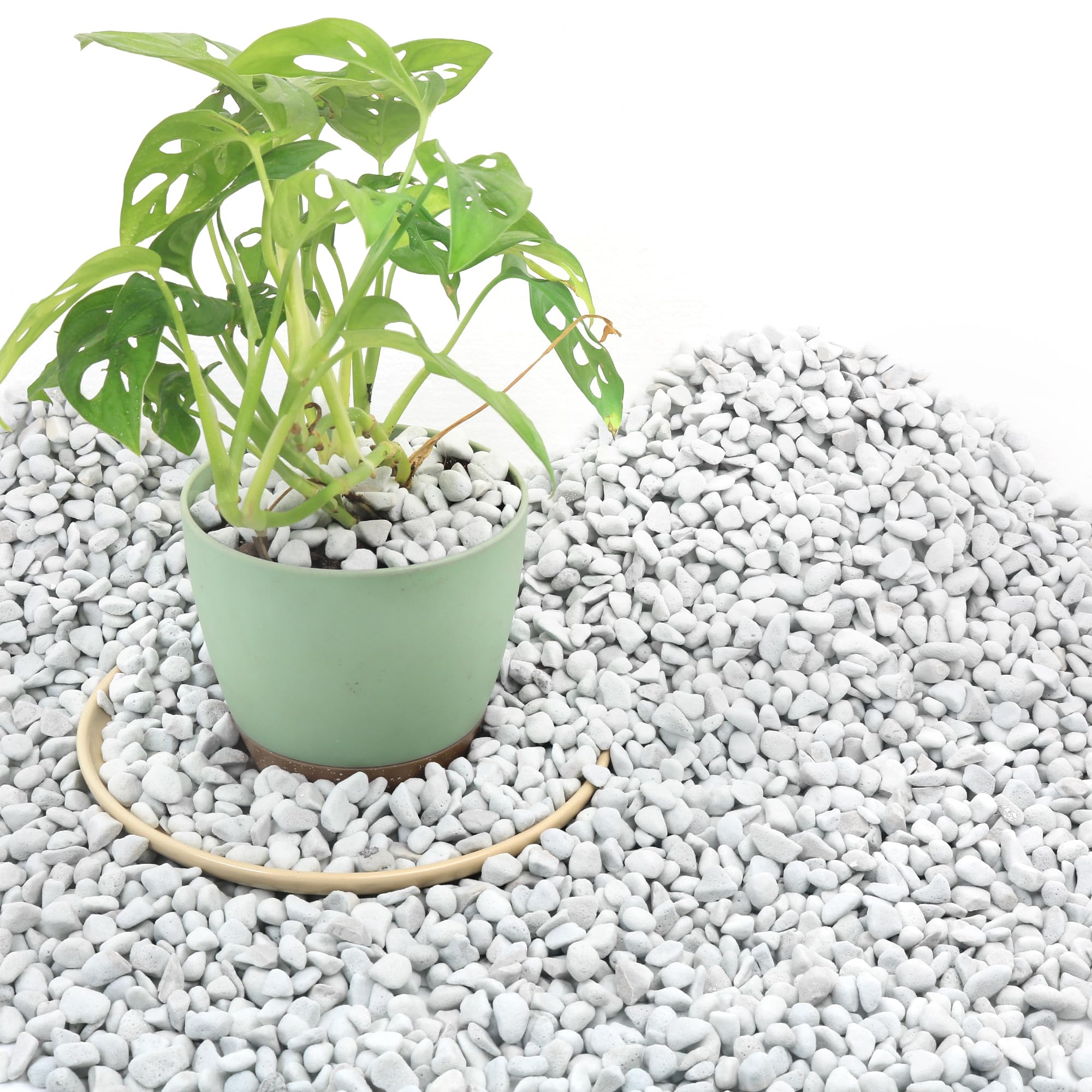 Biotolot 9qt chunky perlite large pieces improve root airflow