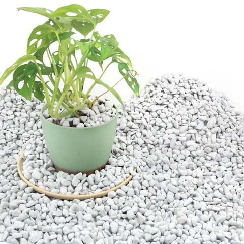 Biotolot 9qt chunky perlite large pieces improve root airflow