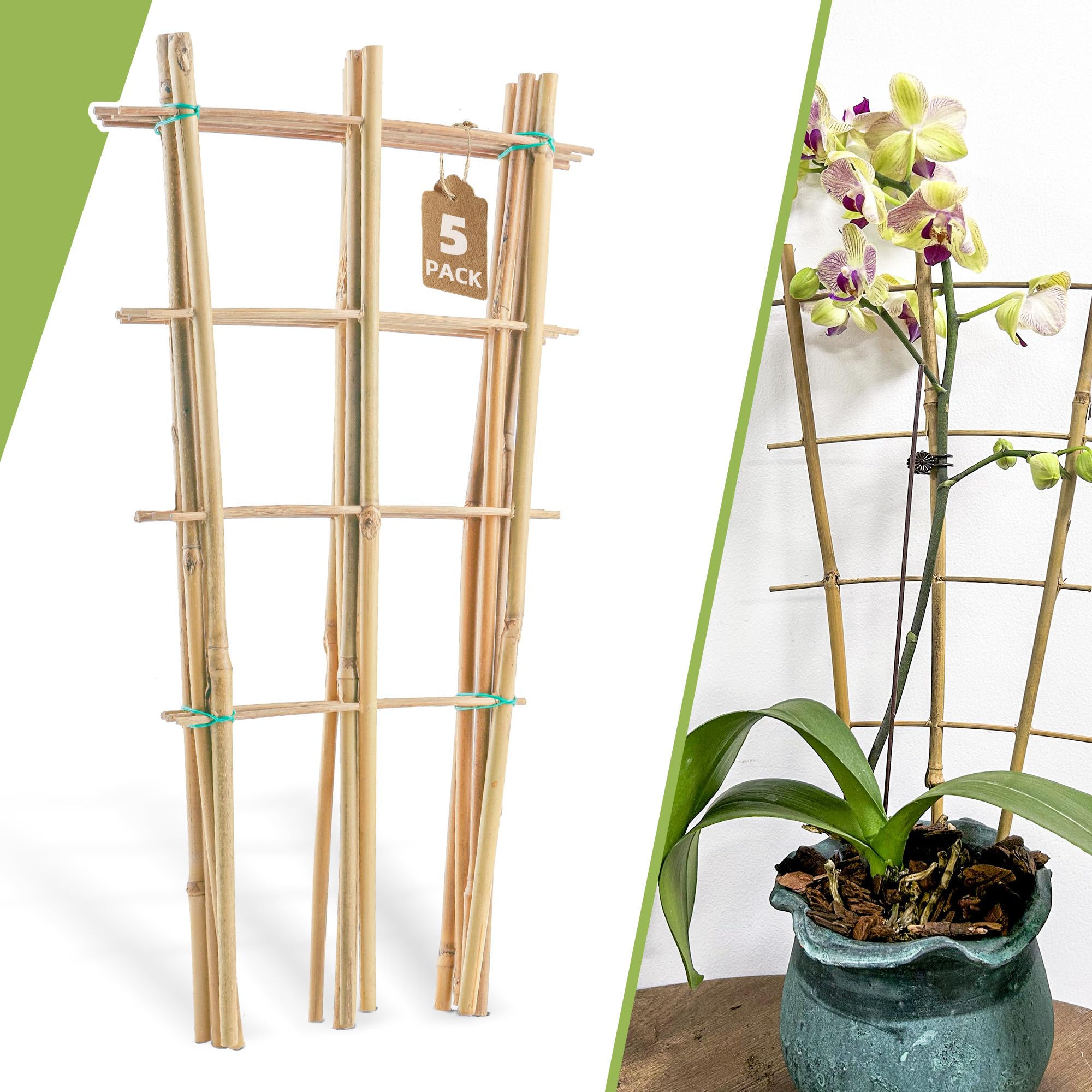 Biotolot bamboo trellis 16-inch ladder design supports climbing plants in pots.