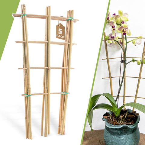 Biotolot bamboo trellis 16-inch ladder design supports climbing plants in pots.