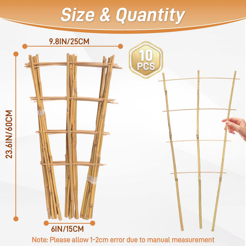 Biotolot fan-shaped bamboo trellis enhances vertical growth for balconies