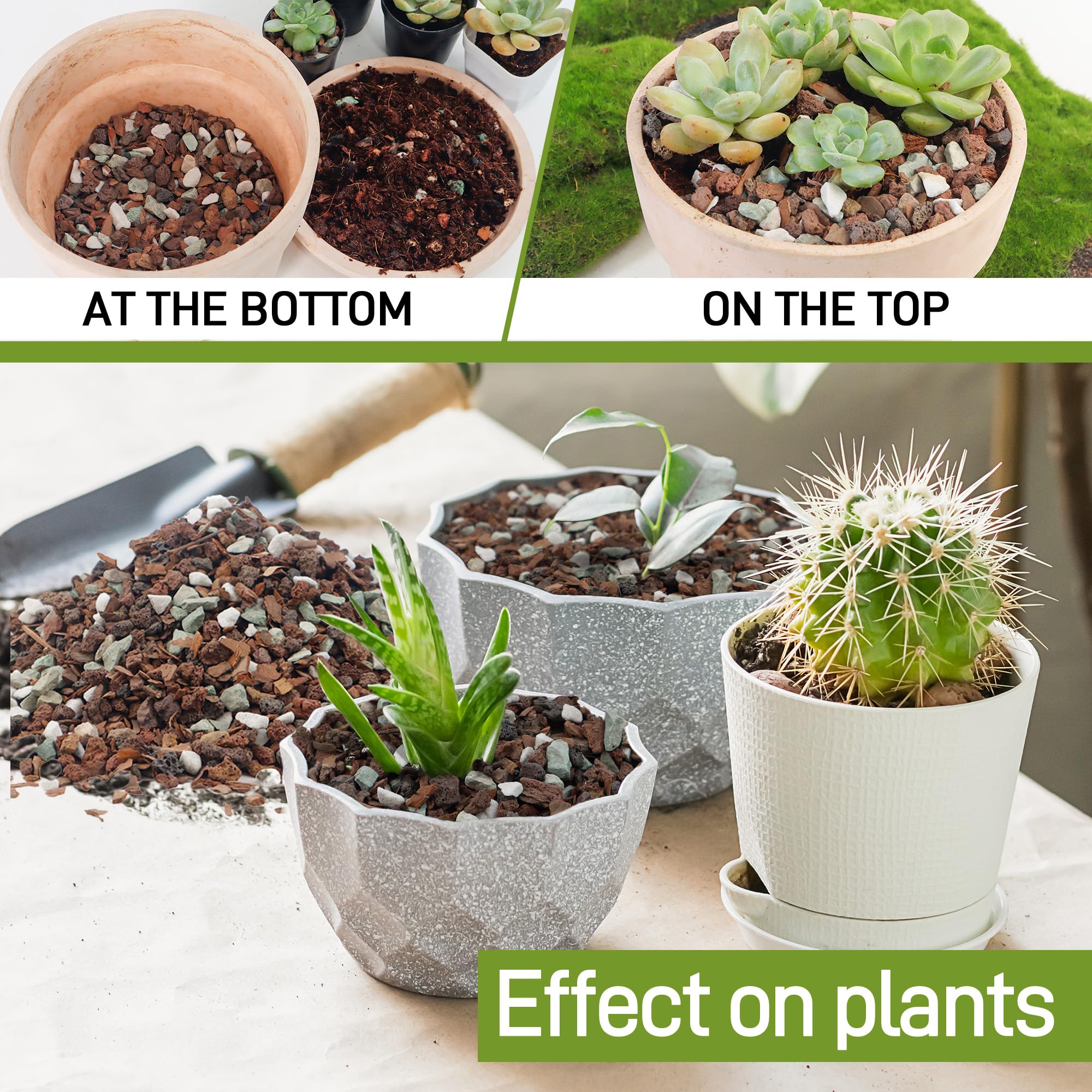 Biotolot bonsai soil mix black volcanic rock balances pH and texture.