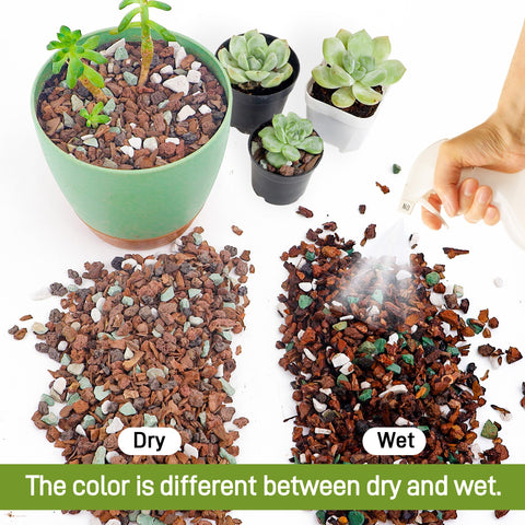 Biotolot bonsai soil mix perlite boosts aeration and drainage for strong growth.