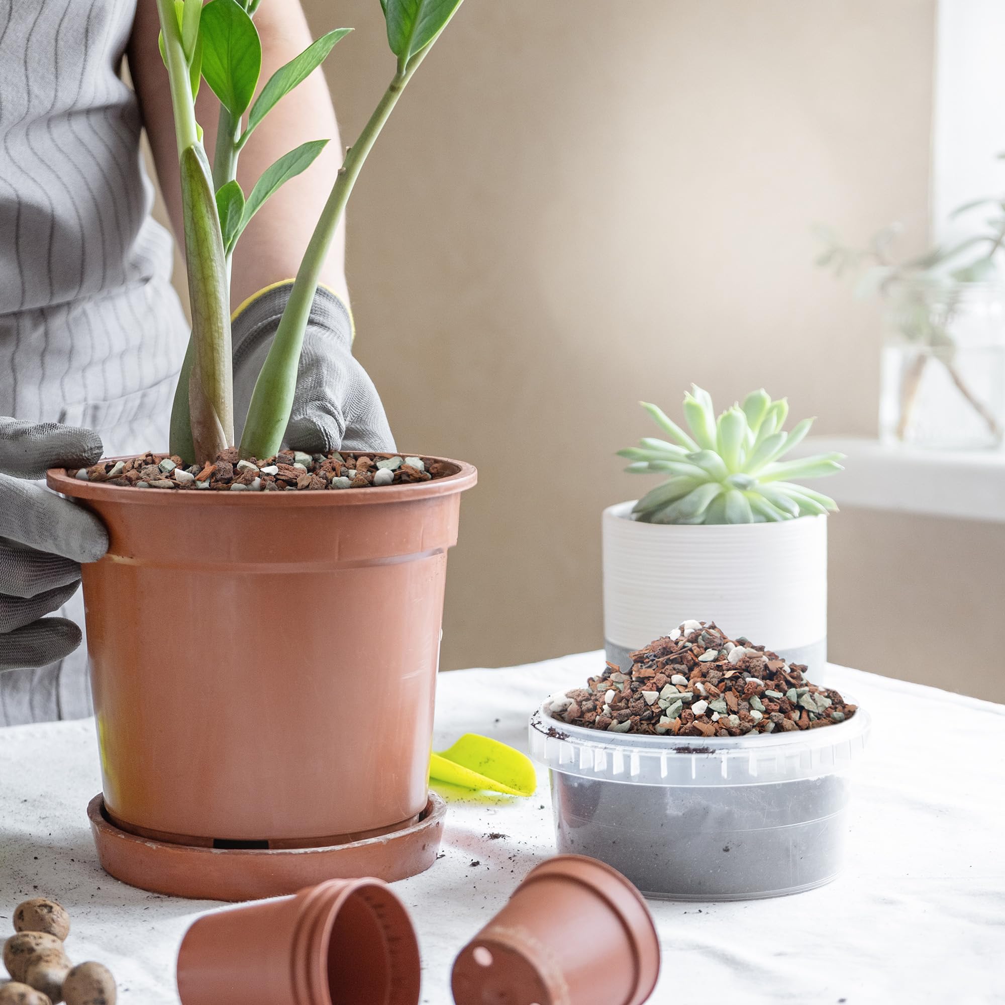 Biotolot bonsai soil mix red volcanic rock adds mineral balance and structure.