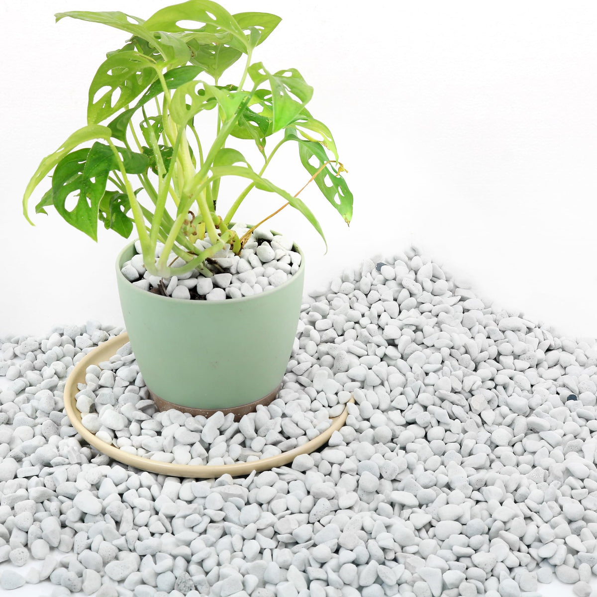 Biotolot chunky perlite bag showing a lightweight soil amendment for pots
