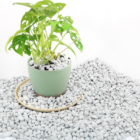 Biotolot chunky perlite bag showing a lightweight soil amendment for pots