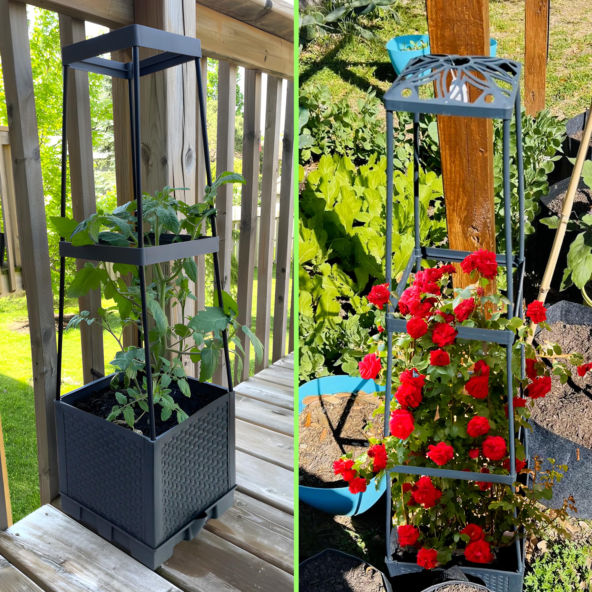 Biotolot supports climbing plants like tomatoes and roses outdoors