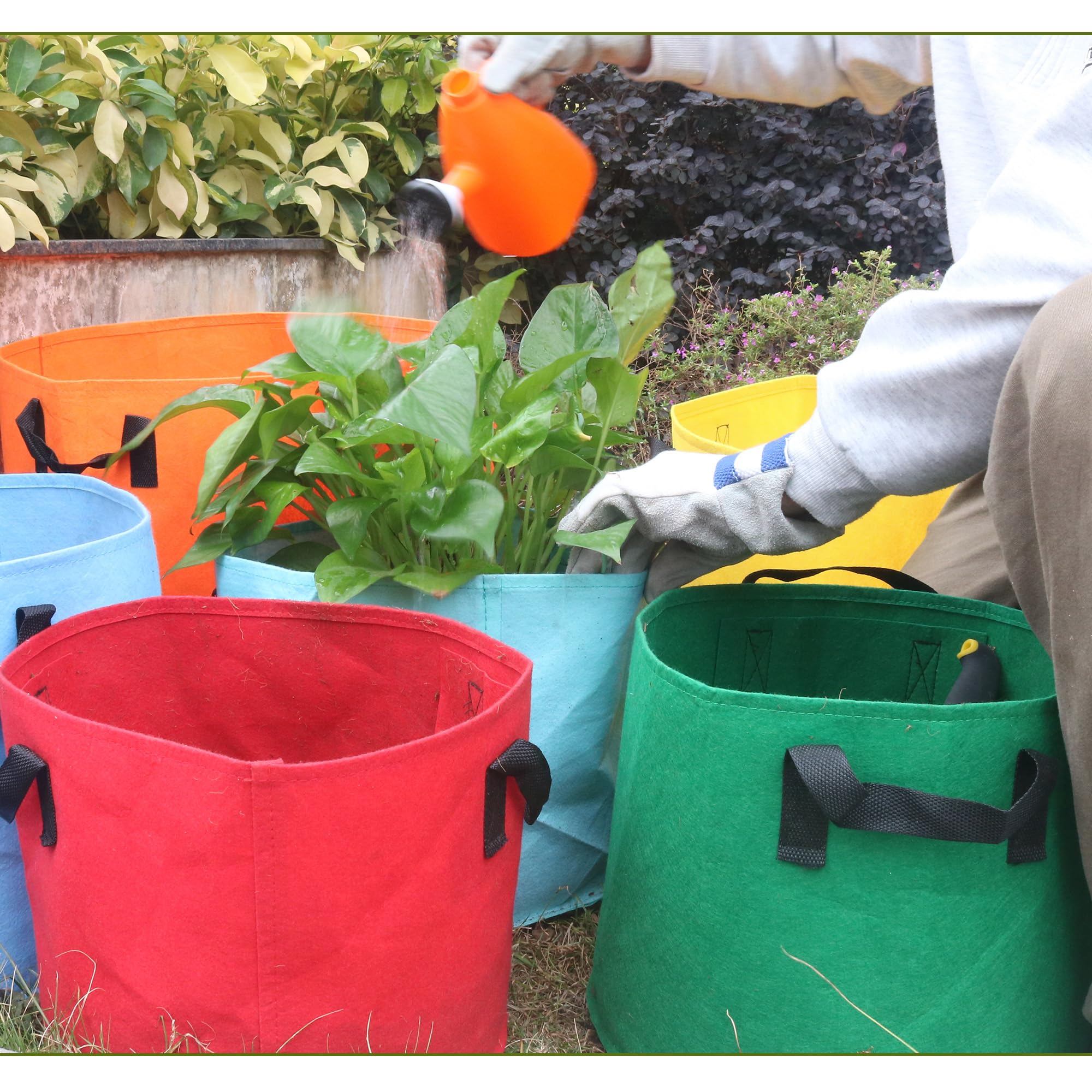 Biotolot foldable grow bags shown for easy storage