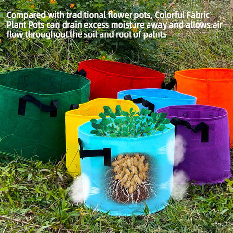 Biotolot foldable, lightweight grow bags store compactly when not in use.