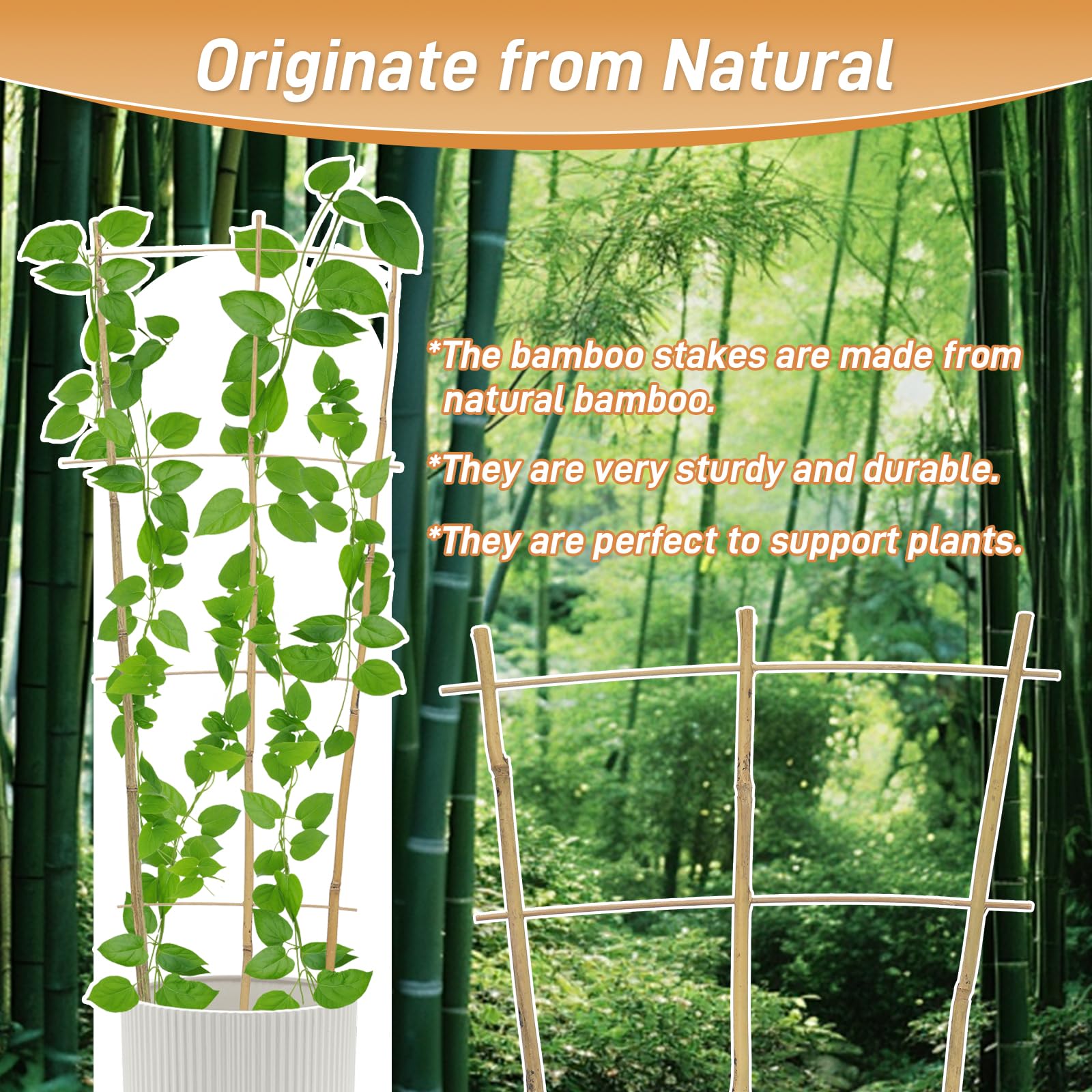 Biotolot naturally smoked bamboo frame blends with garden aesthetics