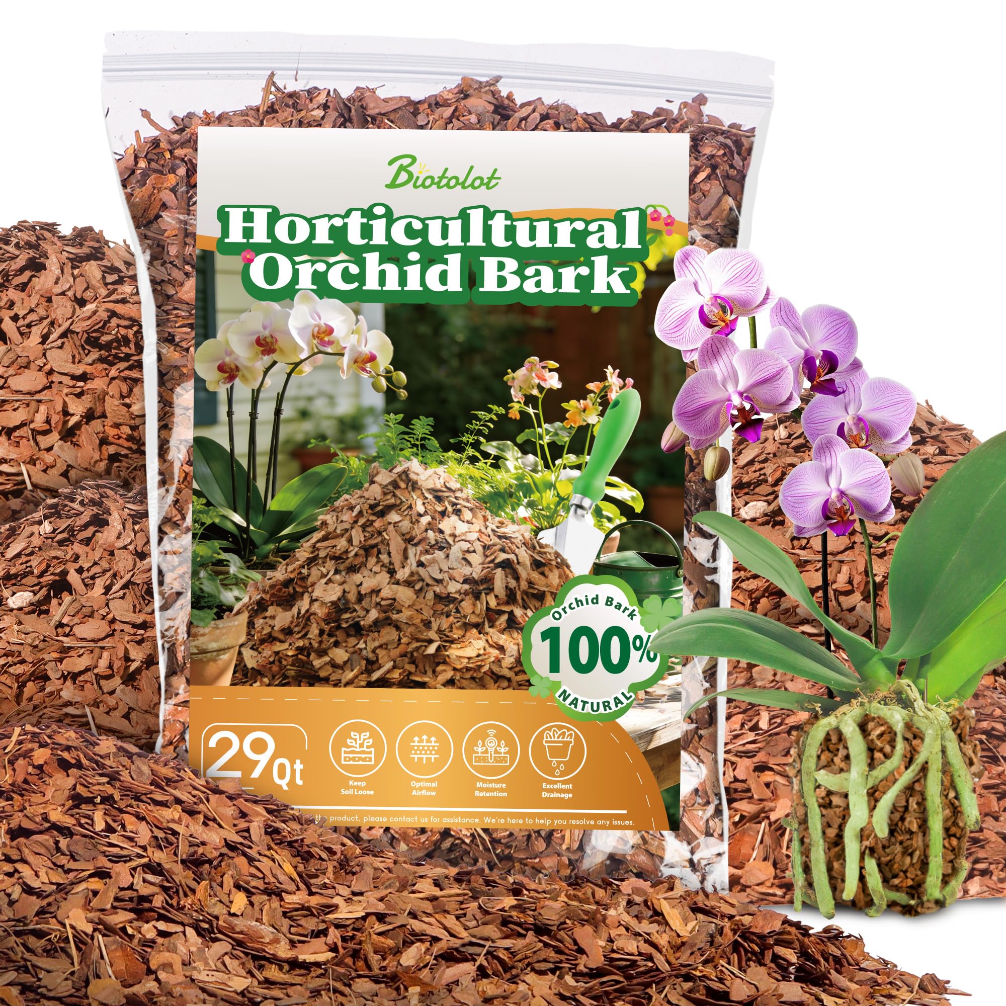 Biotolot orchid bark in 1-2 inch pieces for improved root aeration.