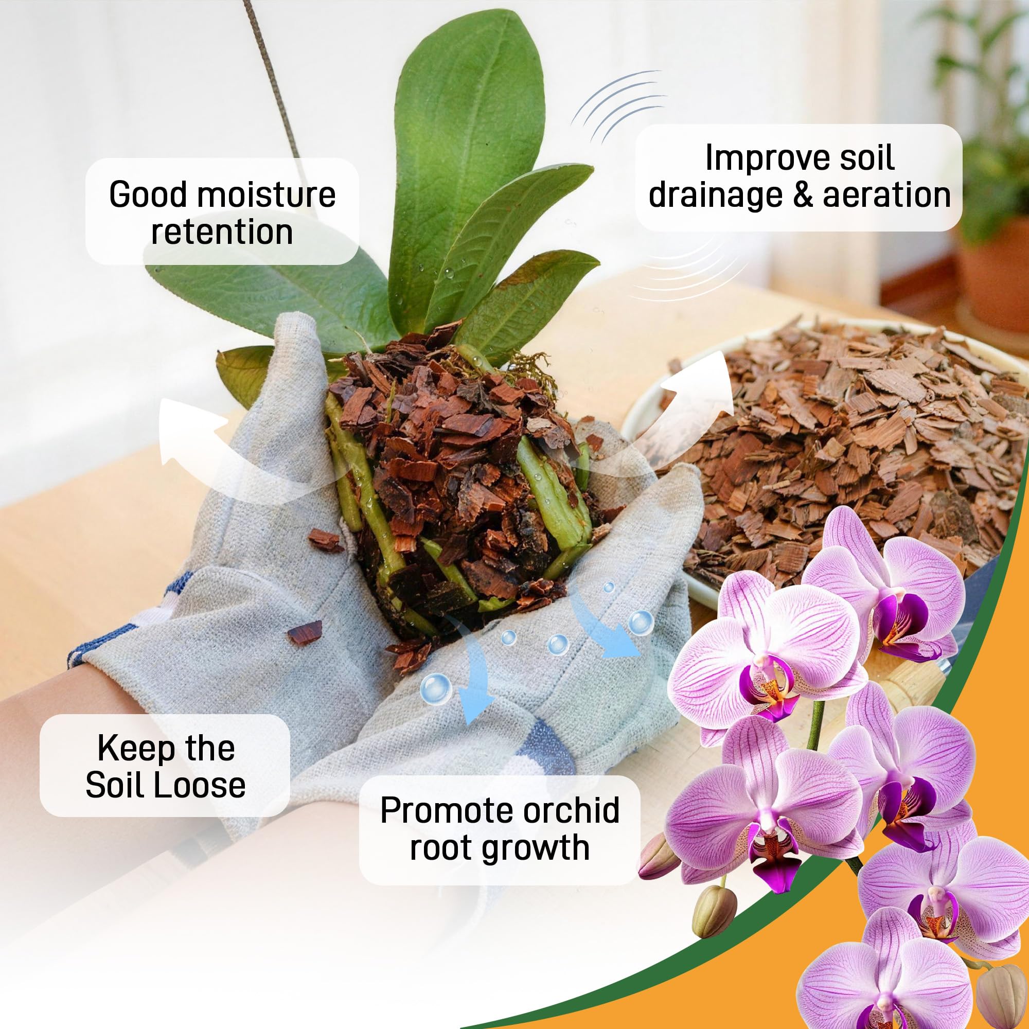 Biotolot orchid bark is natural and dye-free for clean potting.
