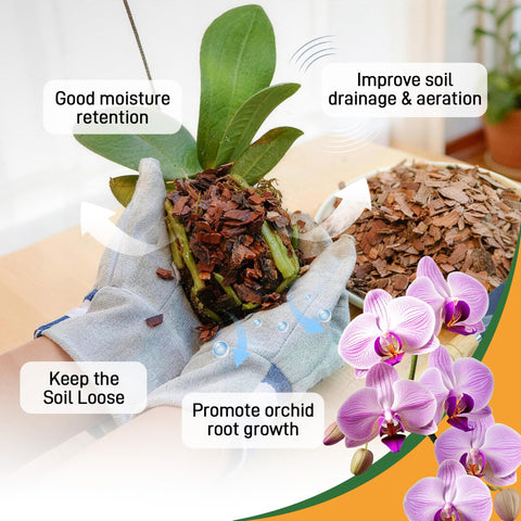 Biotolot orchid bark epiphytic habitat mimic provides natural growing conditions