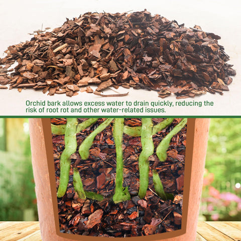 Biotolot orchid bark mimics epiphytic habitat for orchids.
