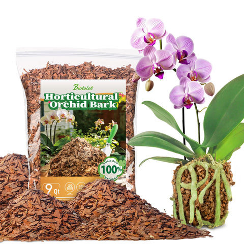Biotolot Orchid Bark in half-inch pieces supports healthy root growth and aeration.
