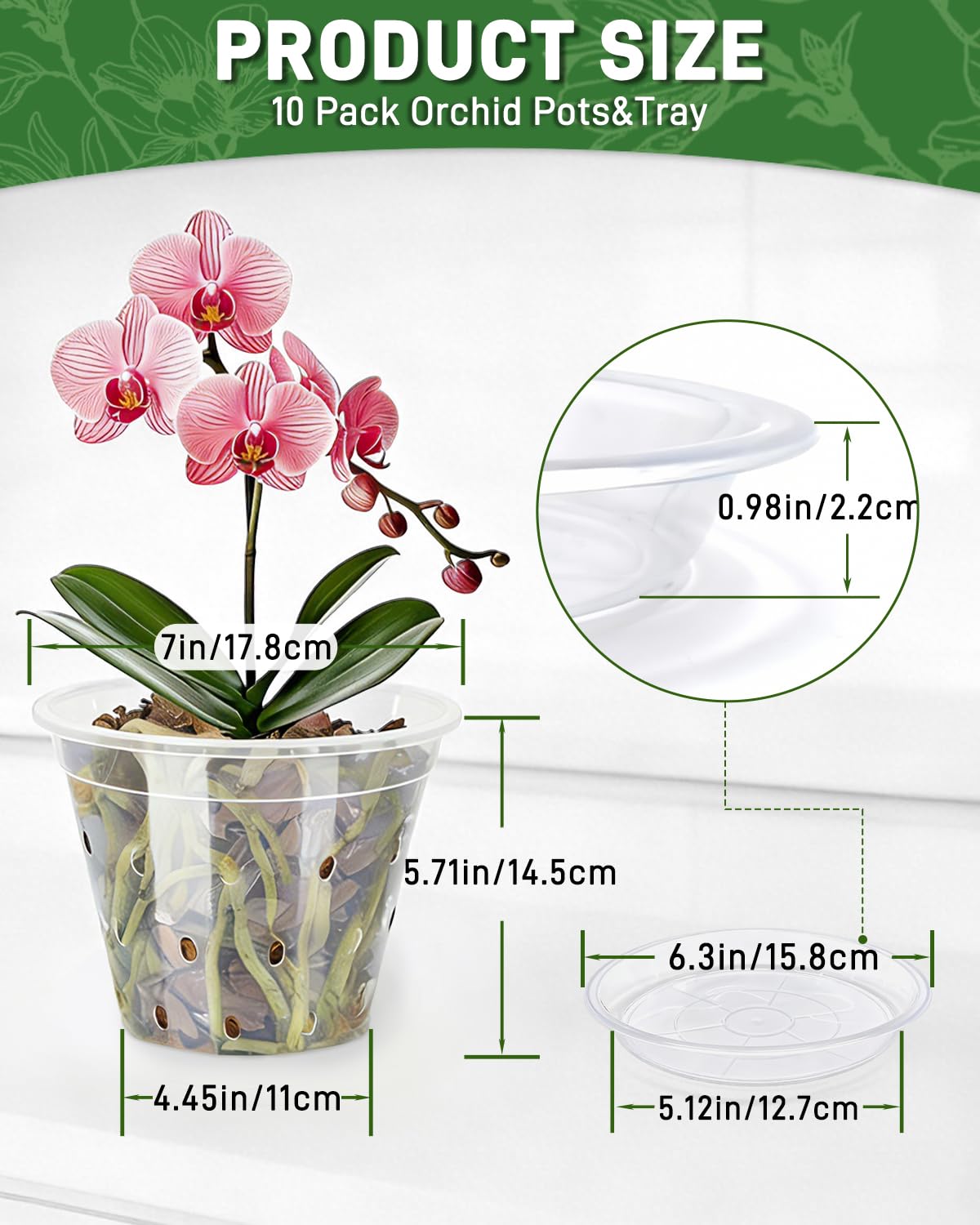 Biotolot clear 7 inch pot makes root growth easy to monitor.