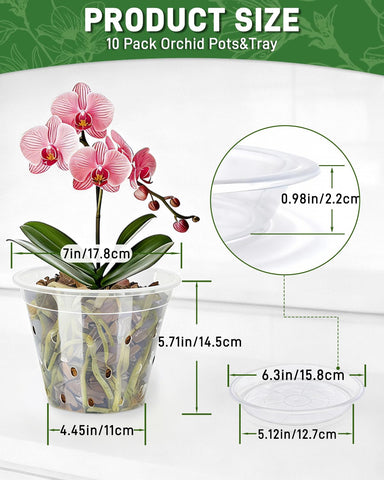 Biotolot clear 7 inch pot makes root growth easy to monitor.