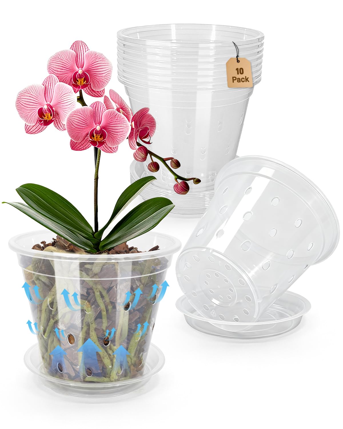 Biotolot 7 inch orchid pot with deep design provides ample soil space for strong roots.