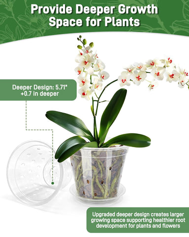 Biotolot clear pot allows quick moisture checks through transparent walls.