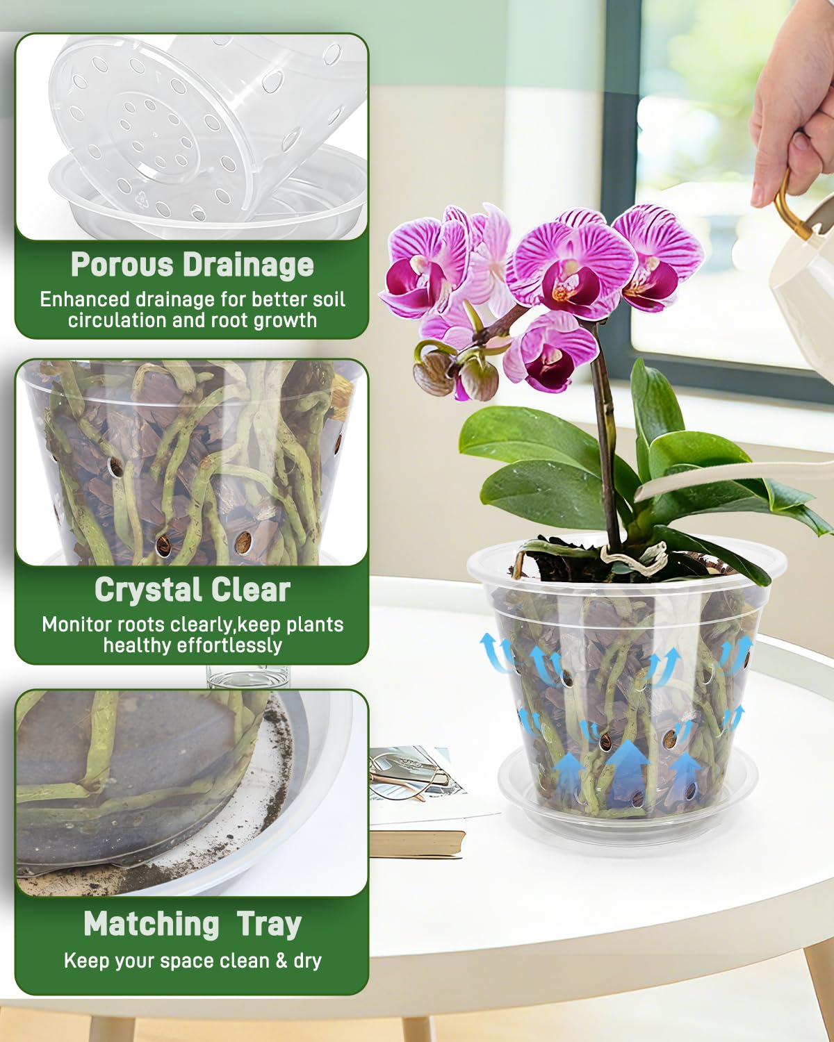 Biotolot orchid pot with ventilation holes promotes airflow and drainage.