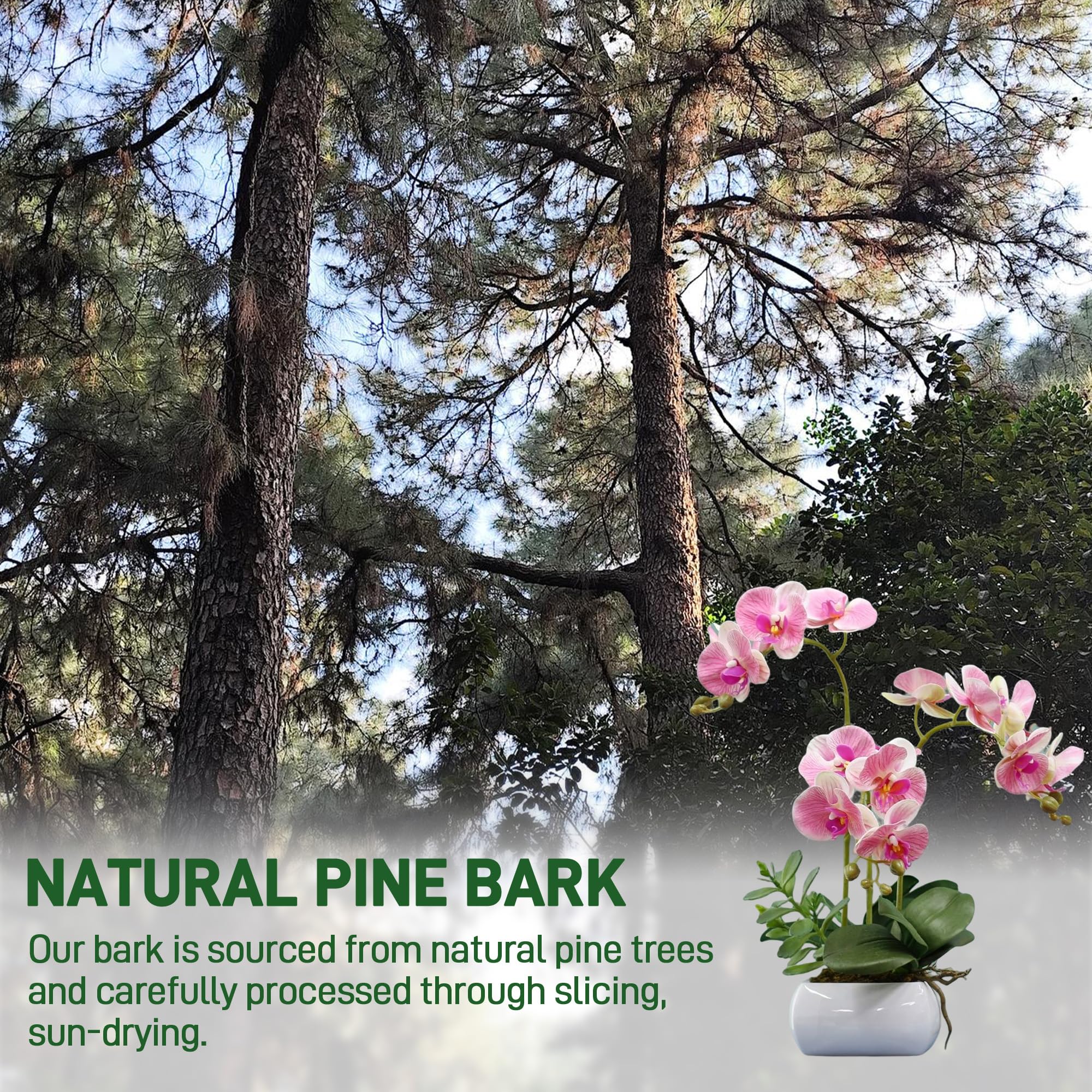 Biotolot orchid bark with good airflow supports roots and moisture balance