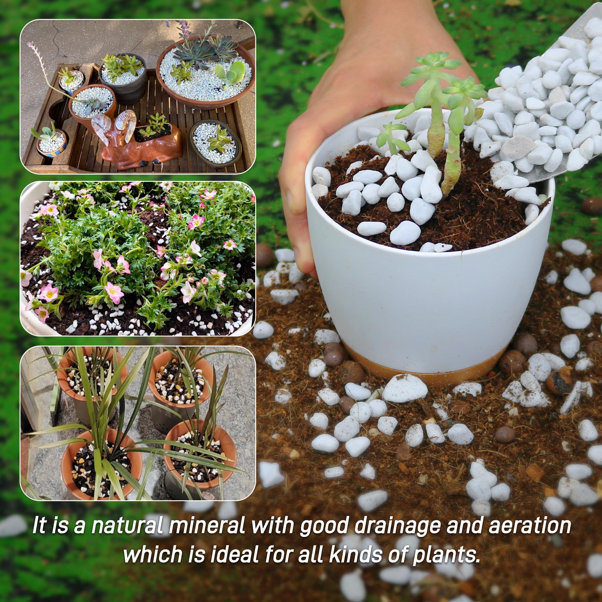 Biotolot chunky perlite resists crushing for long-lasting soil amendment